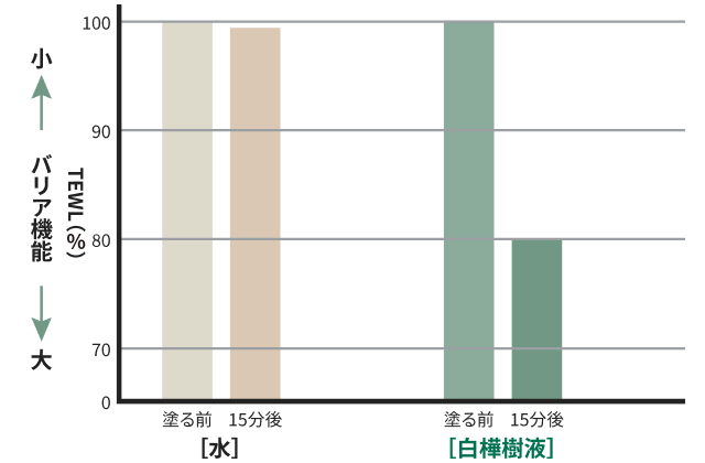 肌バリア機能向上作用