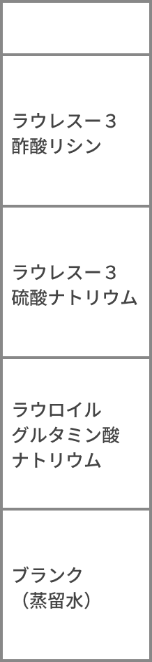 皮膚刺激性試験結果