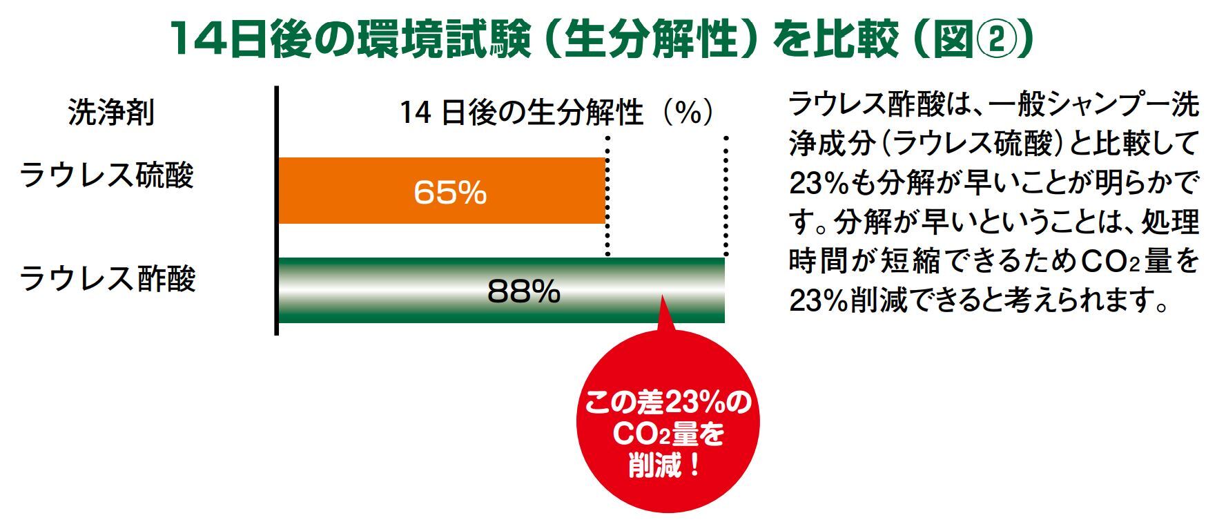 Badens_生分解性実験_図2