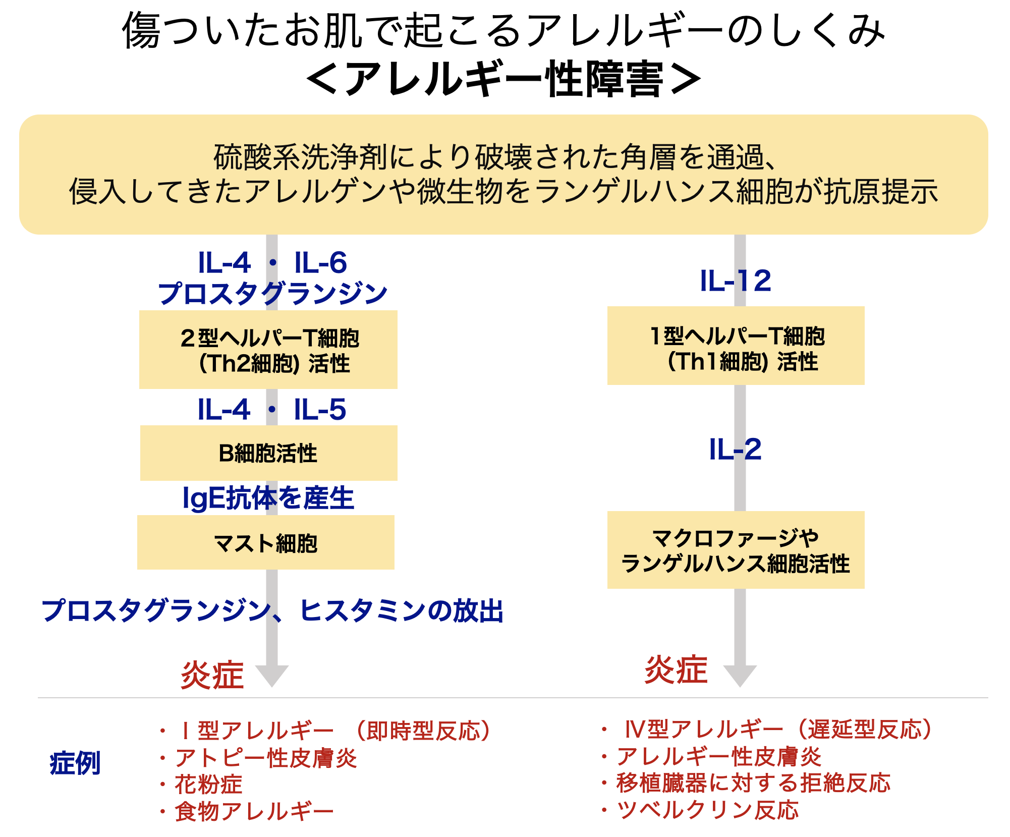 アレルギー性障害