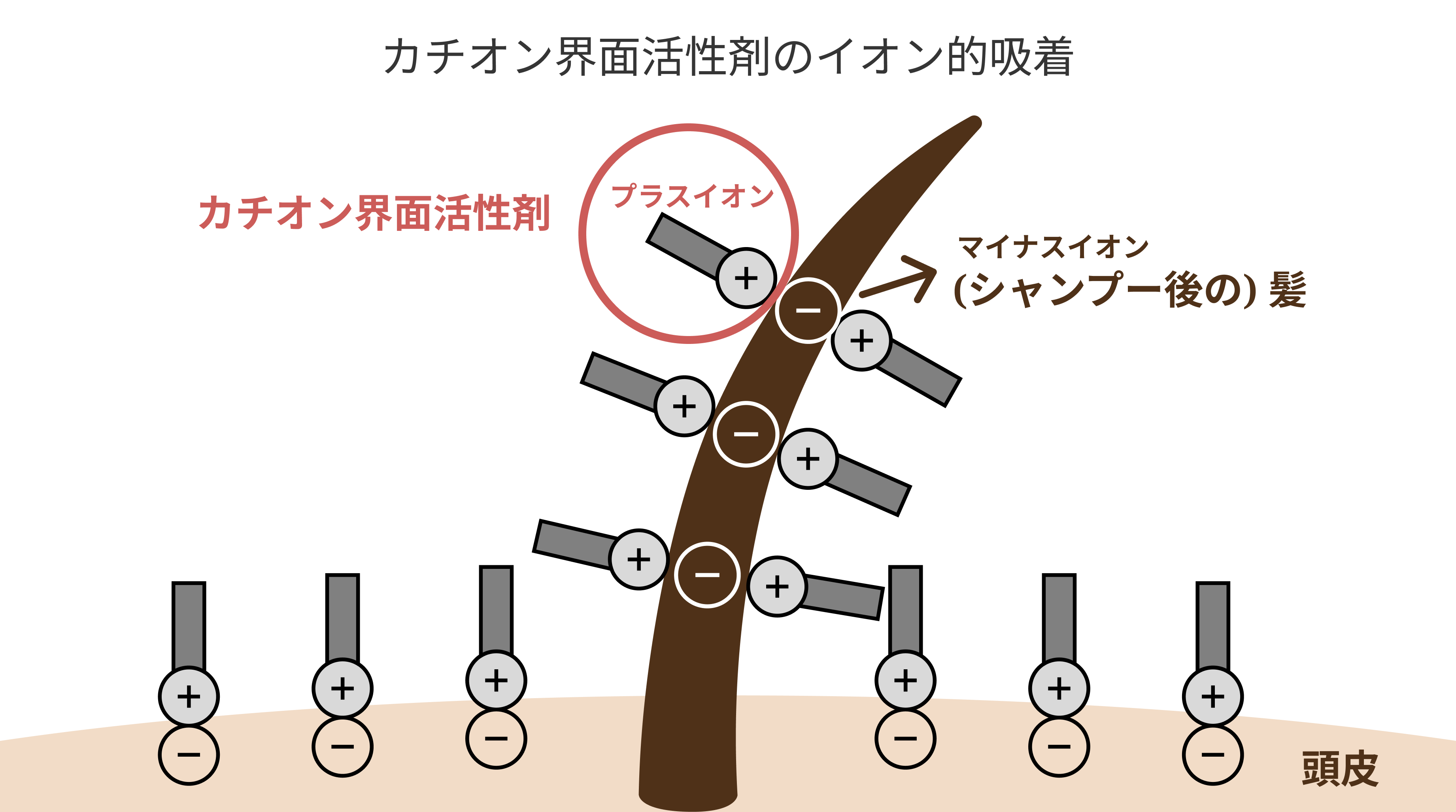 カチオン界面活性剤のイオン的吸着