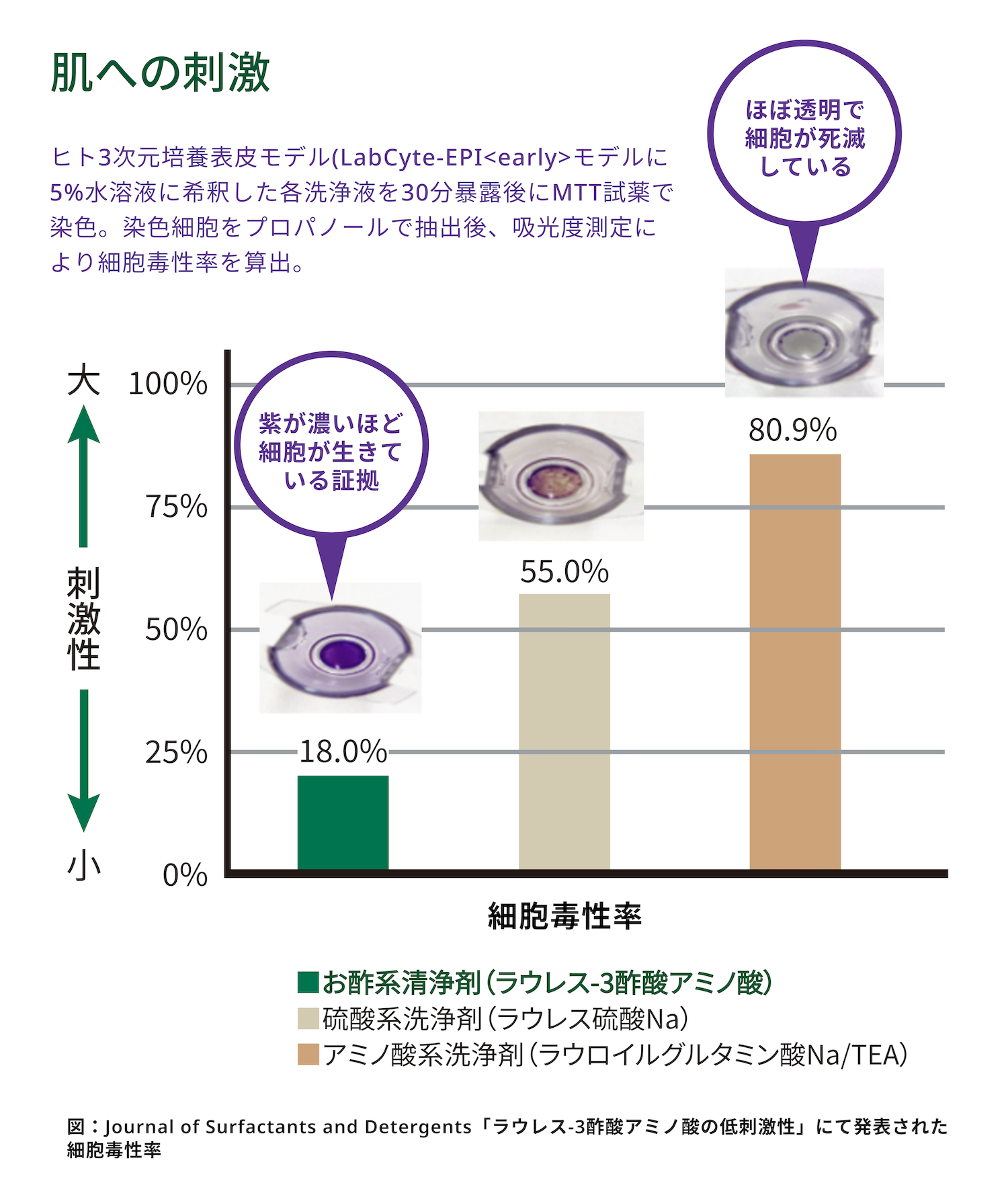 ラウレス-3酢酸アミノ酸の低刺激性