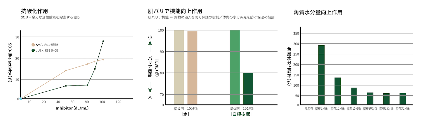 白樺樹液の機能性研究結果