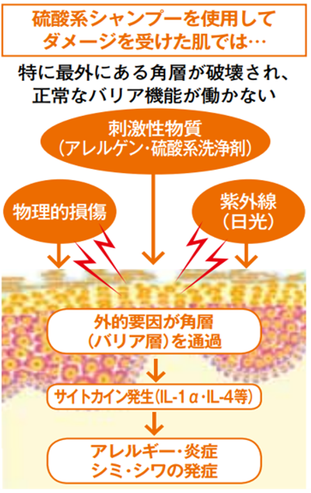 肌のアレルギー反応
